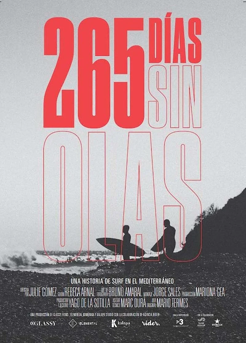 Poster van 265 Days Without Waves