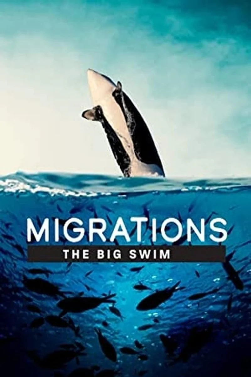 Poster van Migrations: The Big Swim