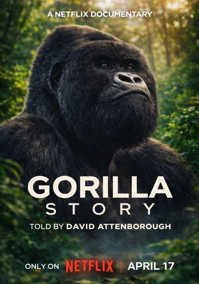 Affiche A Gorilla Story: Told by David Attenborough