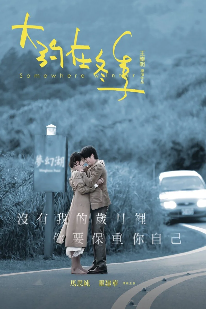 Affiche de Somewhere Winter