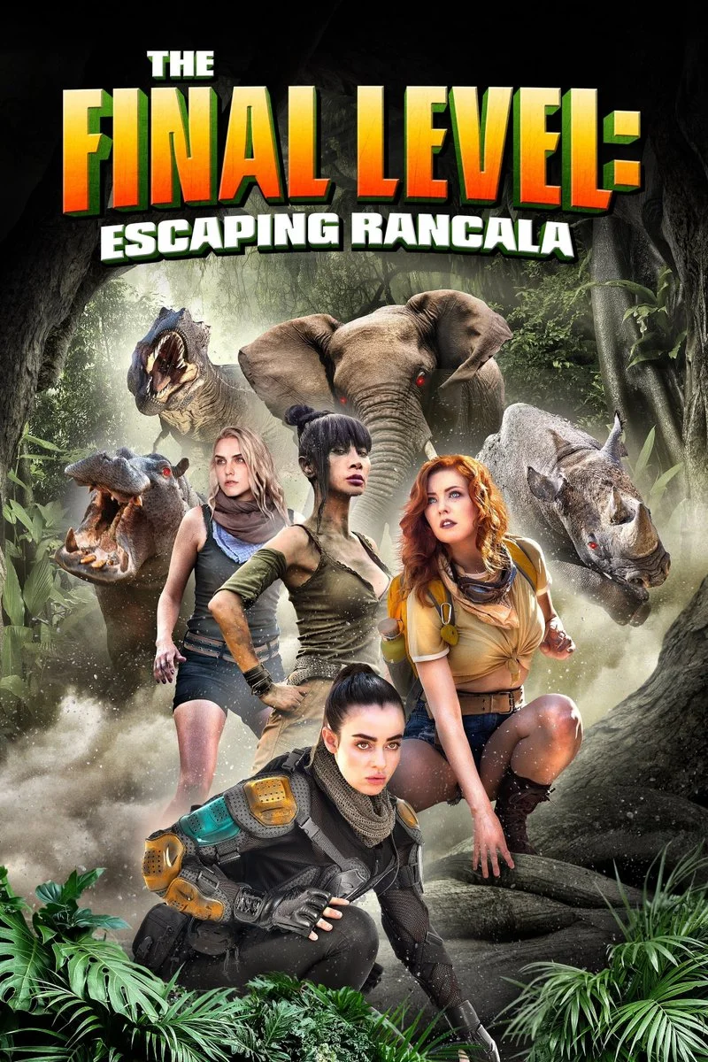 Affiche de The Final Level