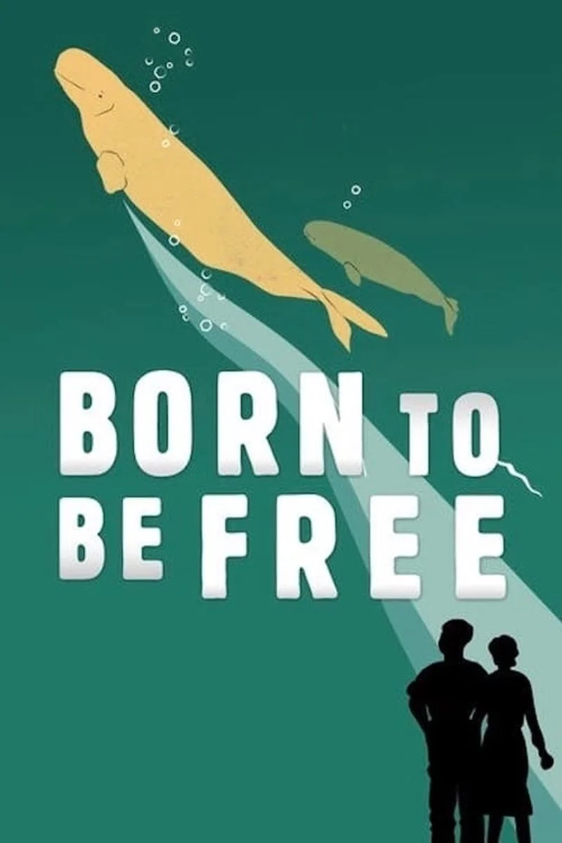 Affiche de Born to Be Free