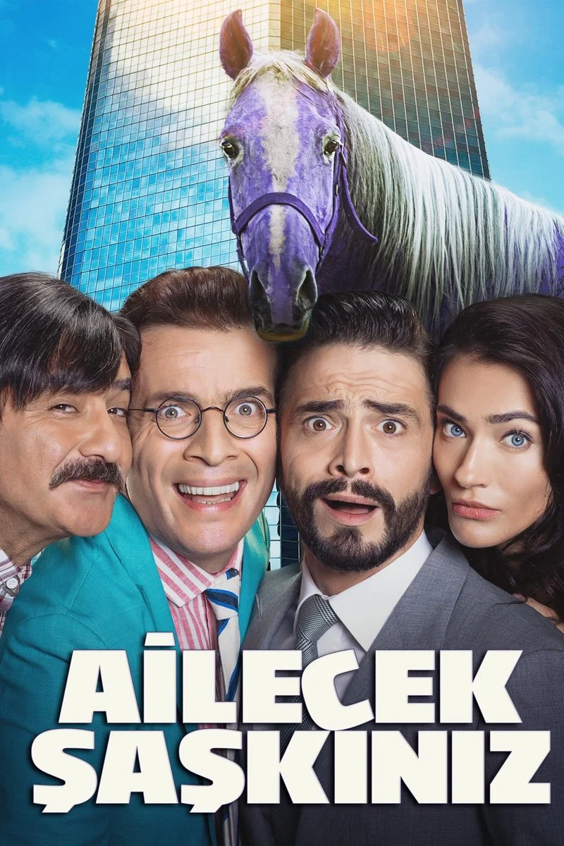 Poster van Ailecek Şaşkınız