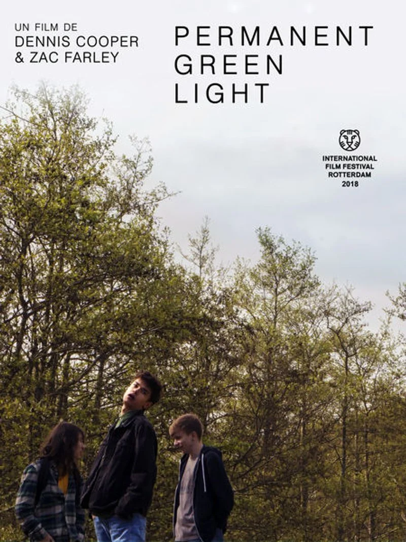 Affiche de Permanent Green Light