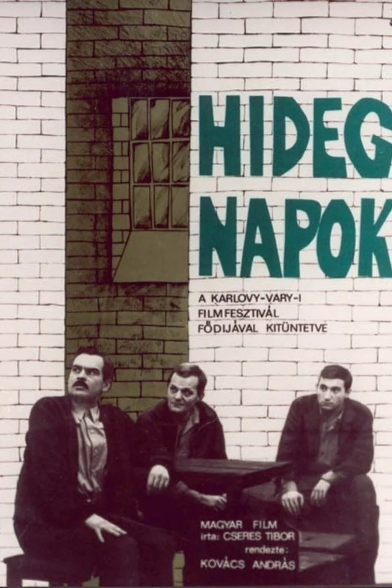 Affiche de Hideg Napok