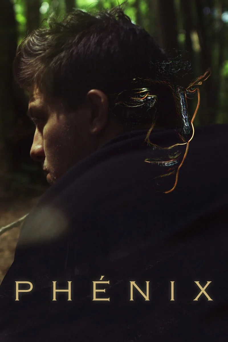 Affiche de Phénix