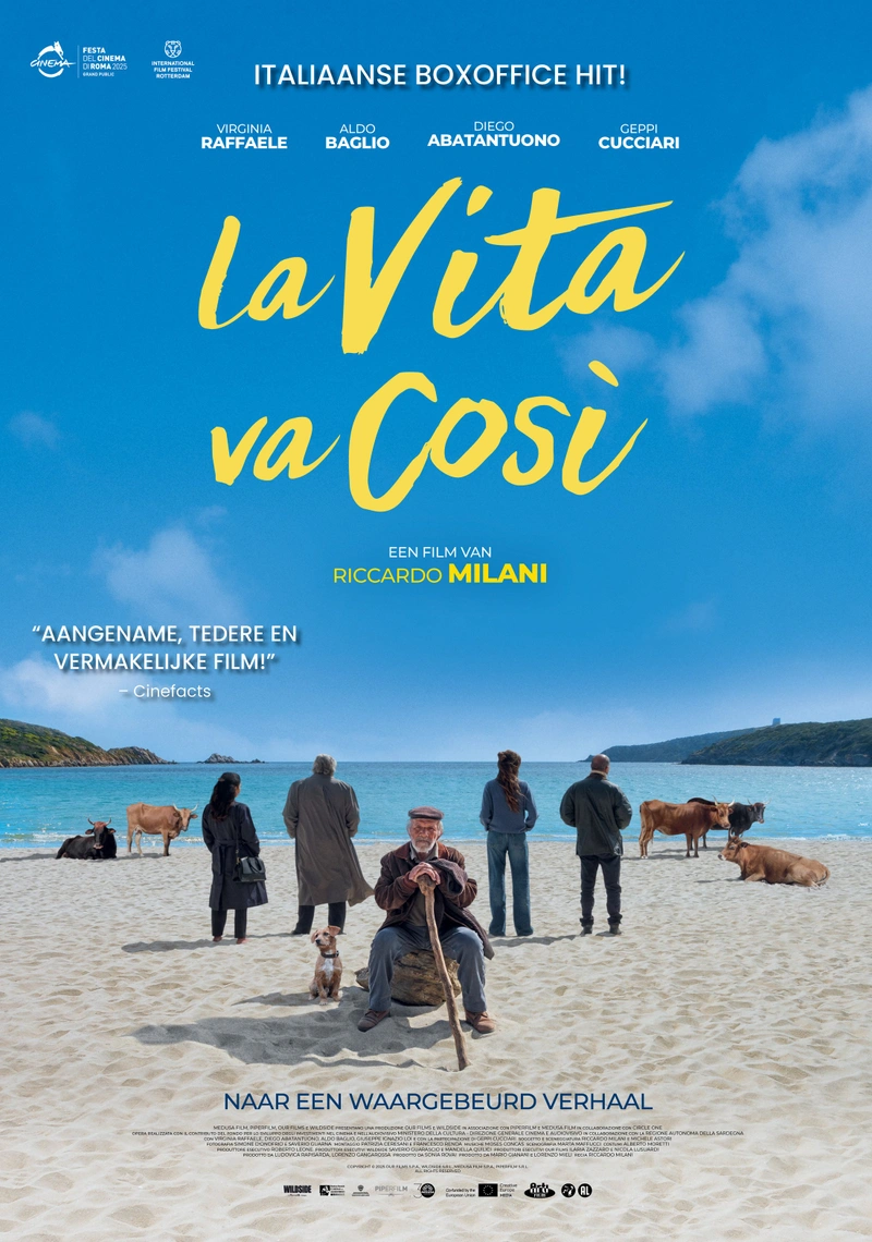 Affiche de La vita va così