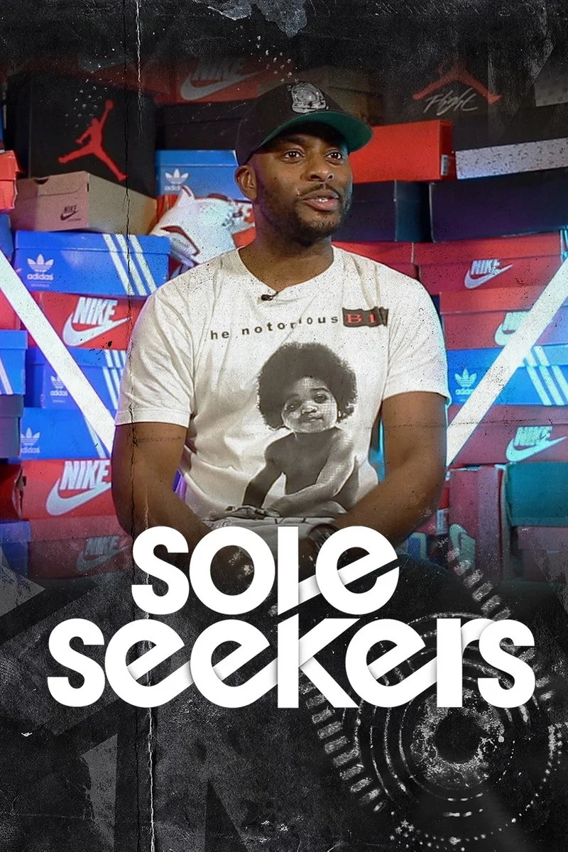 Poster van Soleseekers