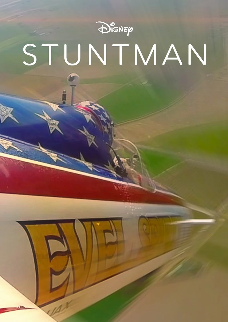 Affiche de Stuntman