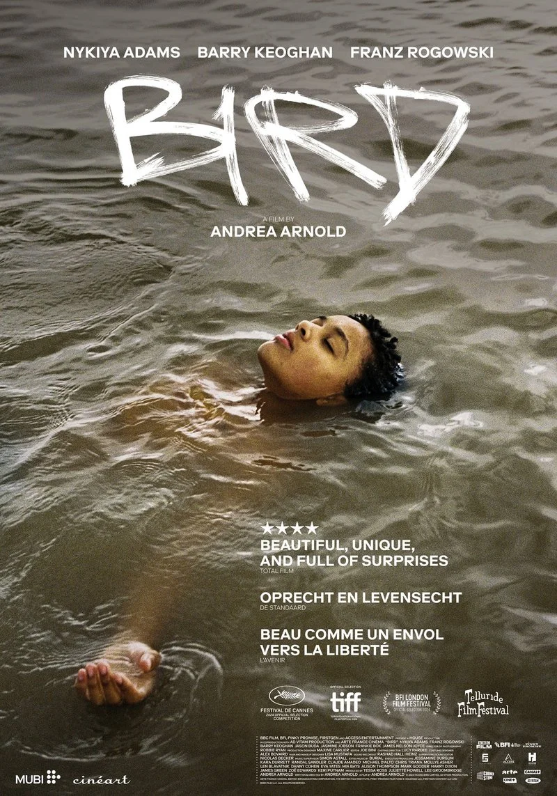 Affiche de Bird
