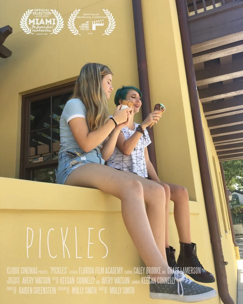 Affiche de Pickles