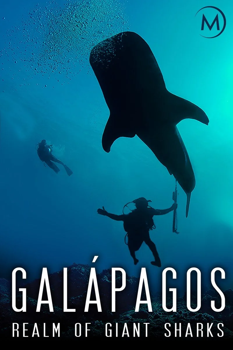 Poster van Galápagos: Realm of Giant Sharks