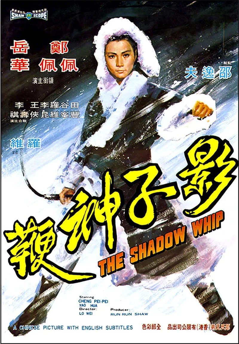 Affiche de The Shadow Whip