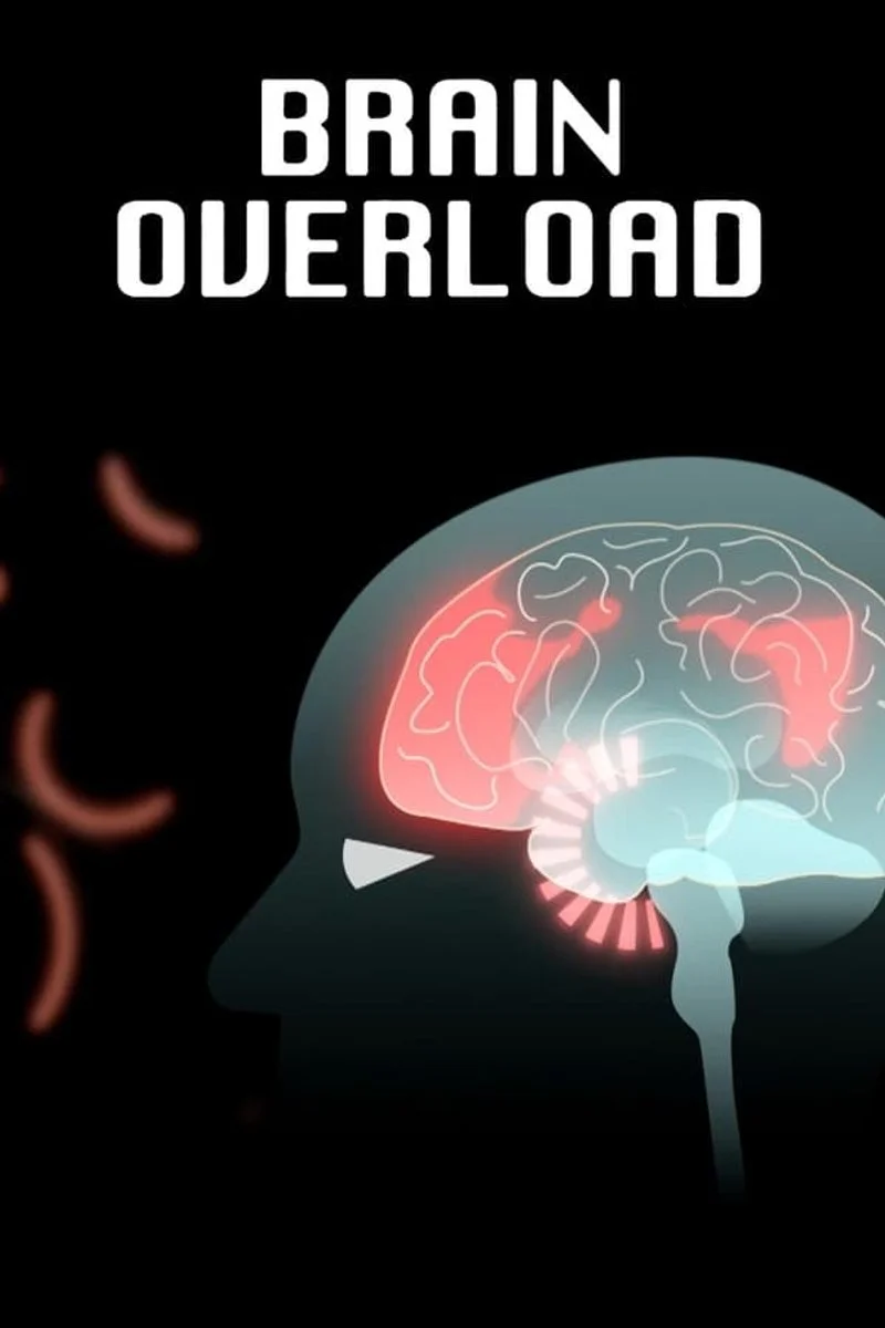 Affiche de Brain Overload