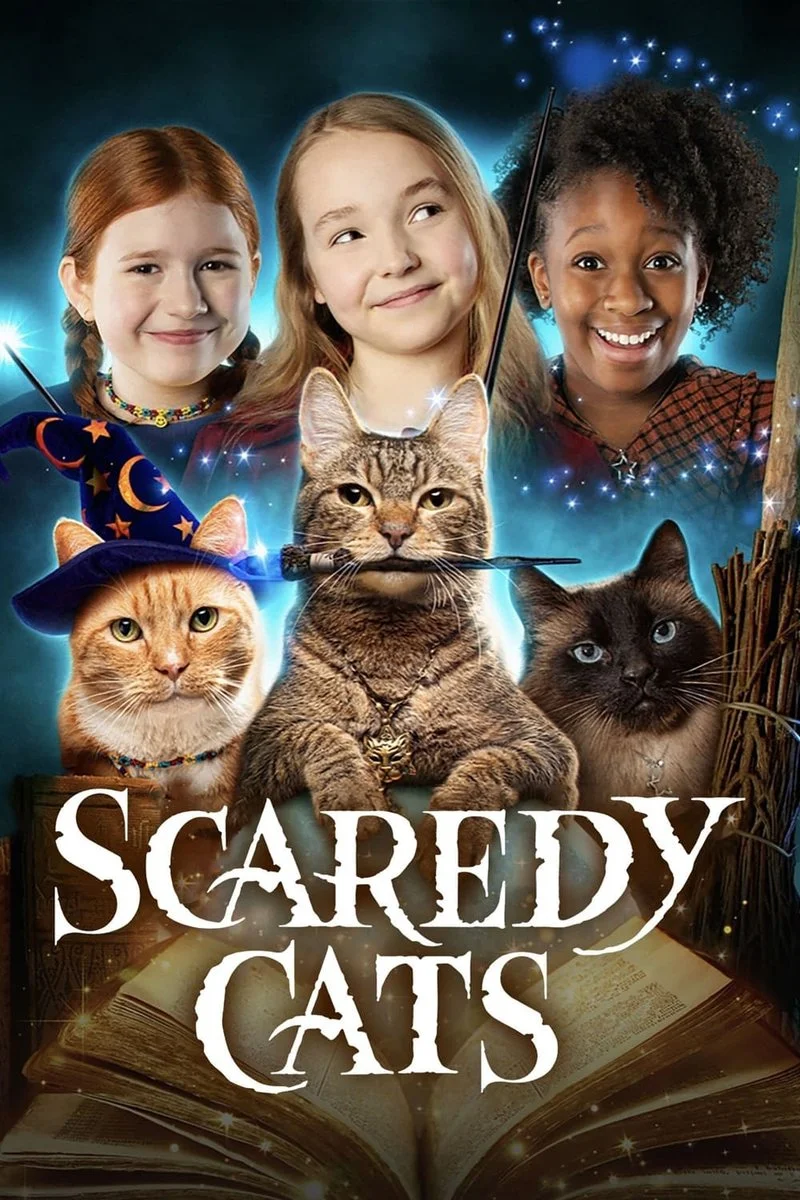 Affiche de Chabracadabra