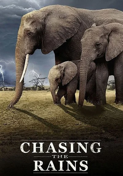 Affiche Chasing the Rains