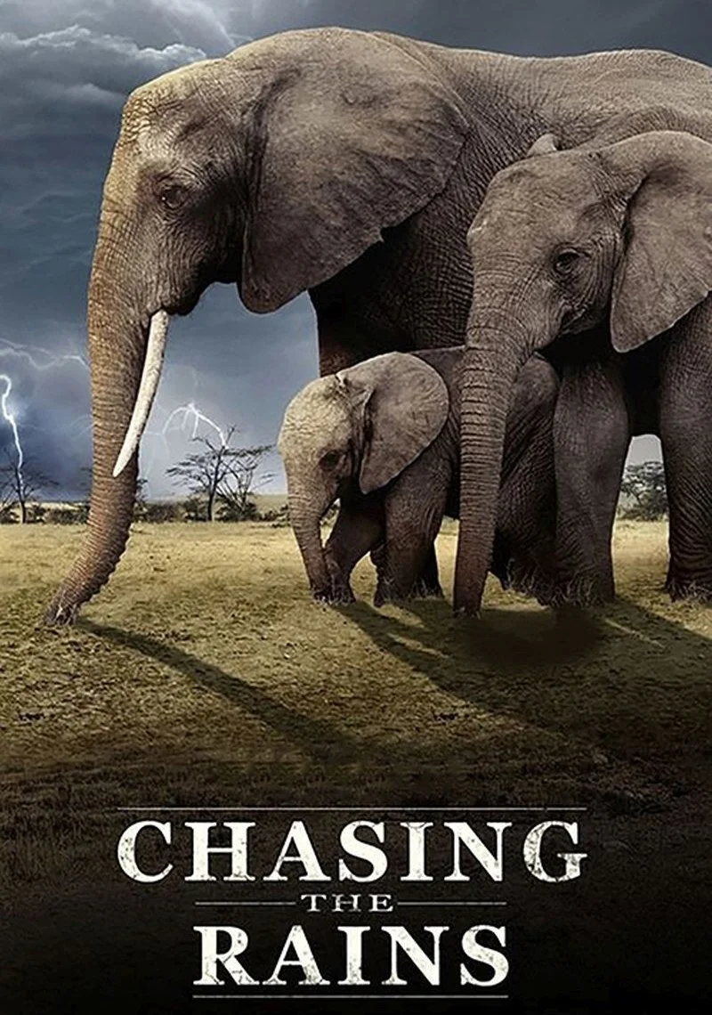 Affiche de Chasing the Rains