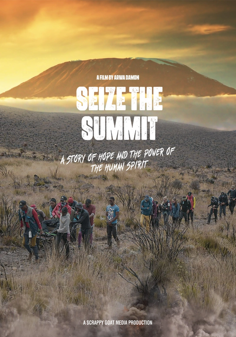 Affiche de Seize the Summit