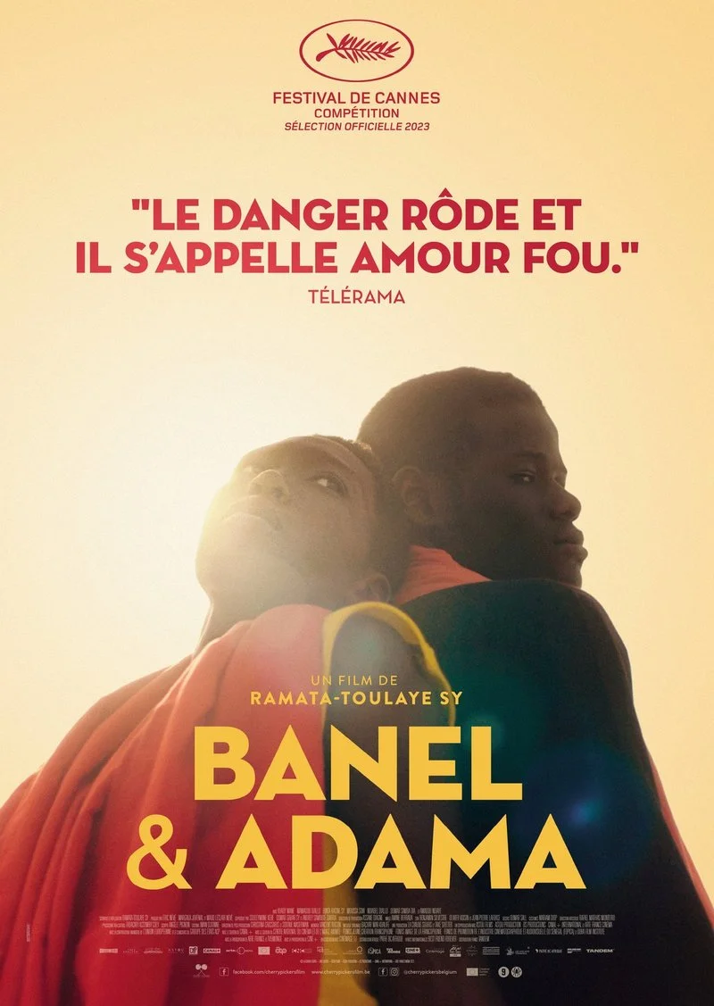 Affiche de Banel & Adama