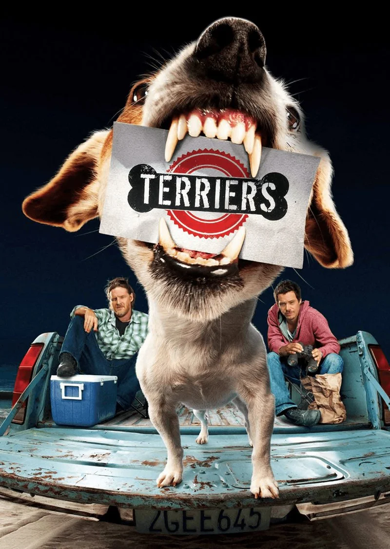 Affiche de Terriers