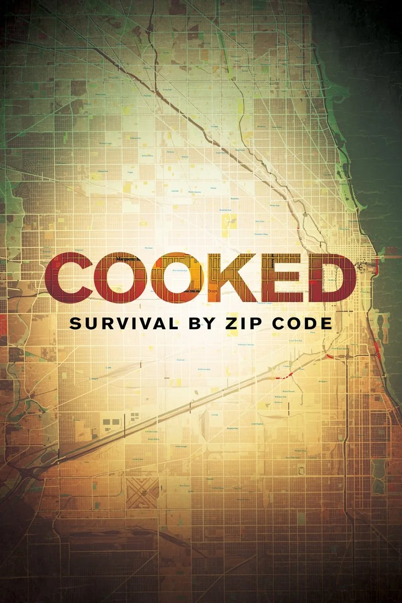 Poster van Cooked: Survival by Zip Code