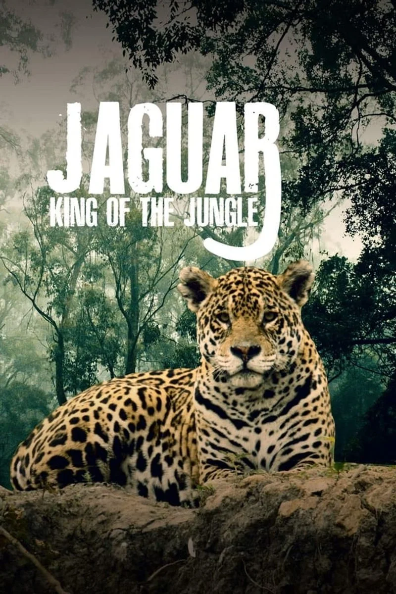 Affiche de Jaguar: King of the Jungle