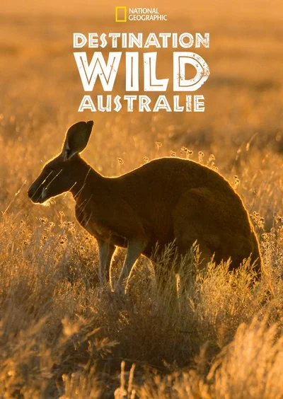 Affiche Destination Wild : Australie