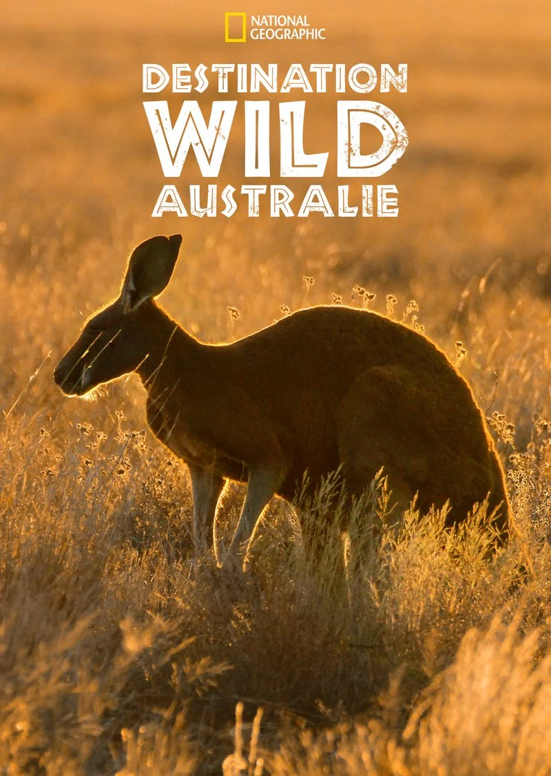 Affiche de Destination Wild : Australie