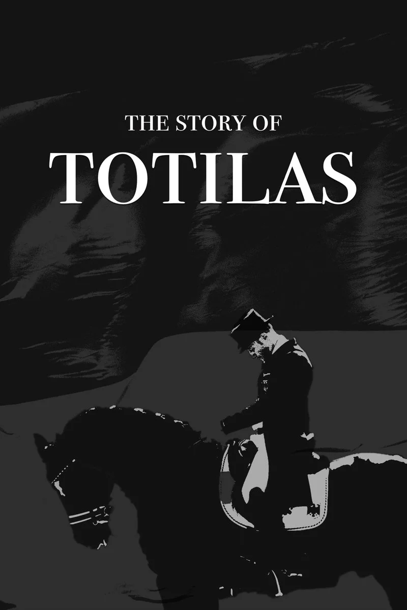 Affiche de The Story of Totilas