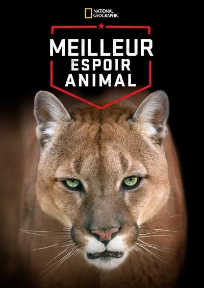 Affiche Meilleur espoir animal