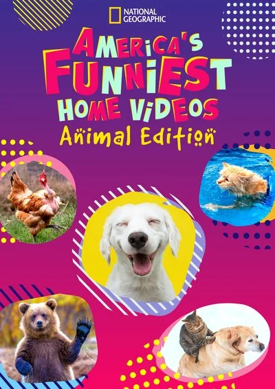 Affiche America's Funniest Home Videos: Les Animaux