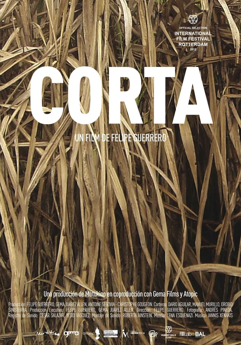 Affiche de Corta