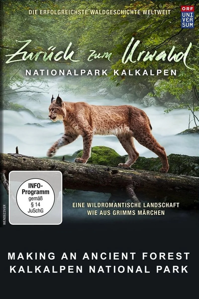 Affiche de Making An Ancient Forest - Kalkalpen National Park