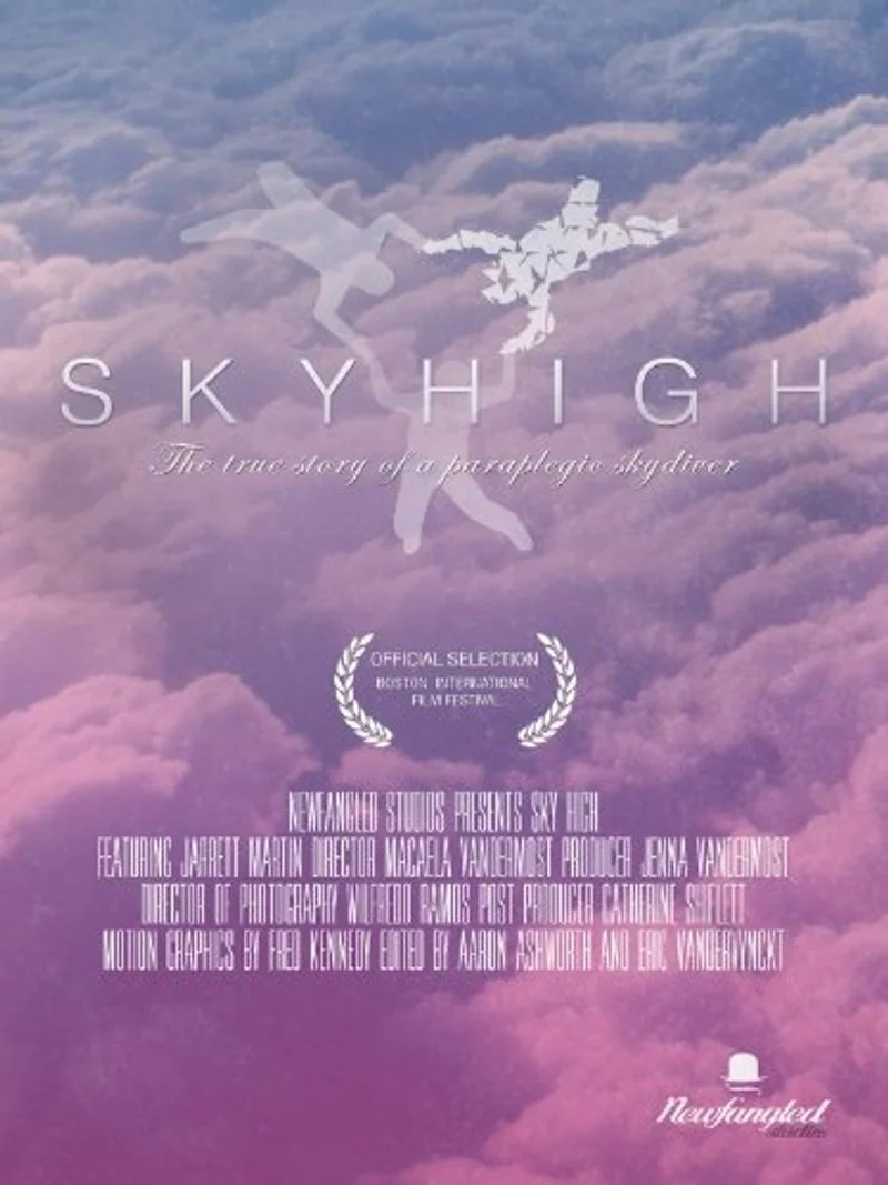 Affiche de Sky High