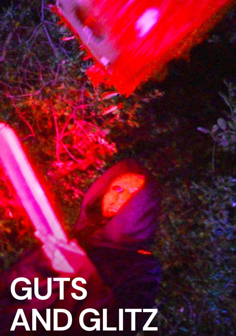Affiche de Guts and Glitz