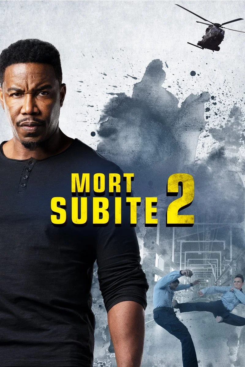 Affiche de Mort subite 2