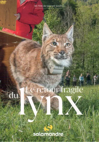 Poster Le retour fragile du lynx