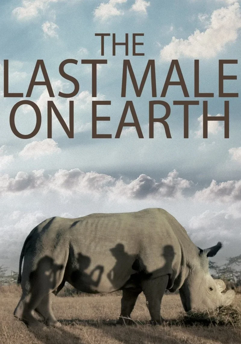 Poster van The last male on earth