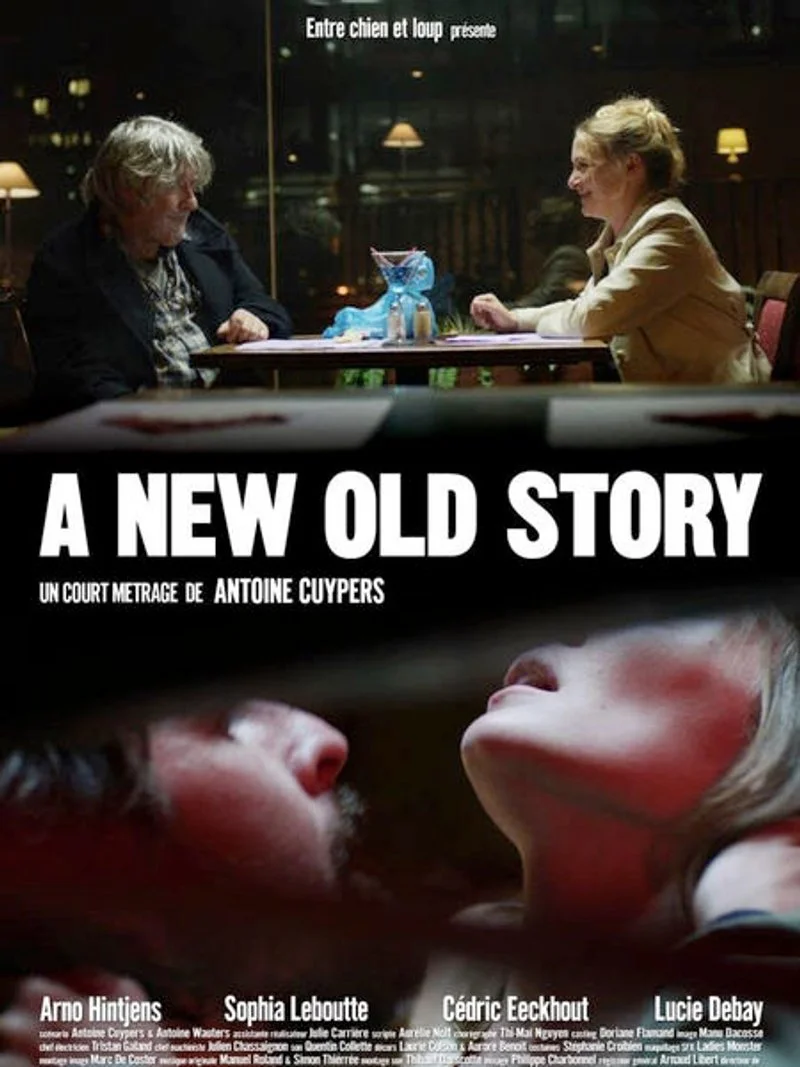 Affiche de A New Old Story