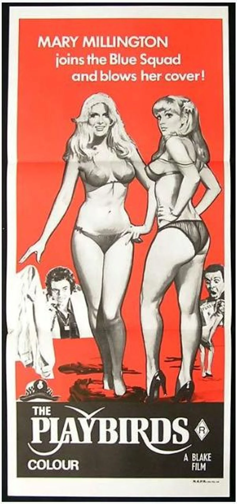 Affiche de The Playbirds