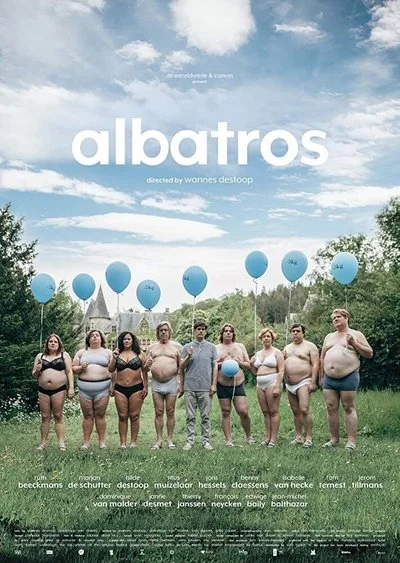 Poster Albatros