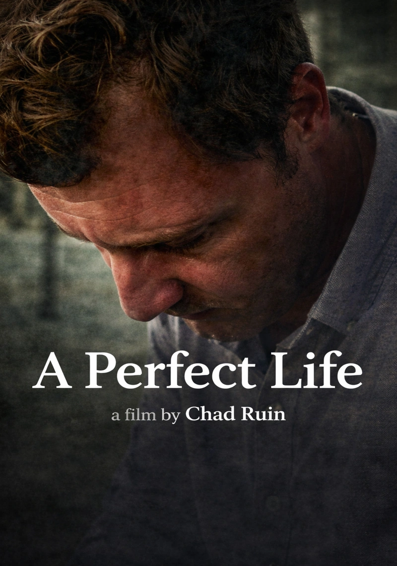 Poster van A Perfect Life