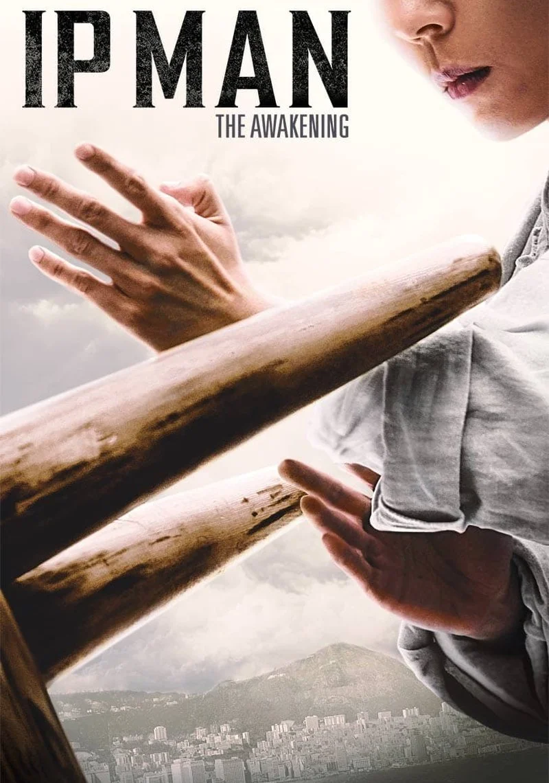 Affiche de IP Man: The Awakening