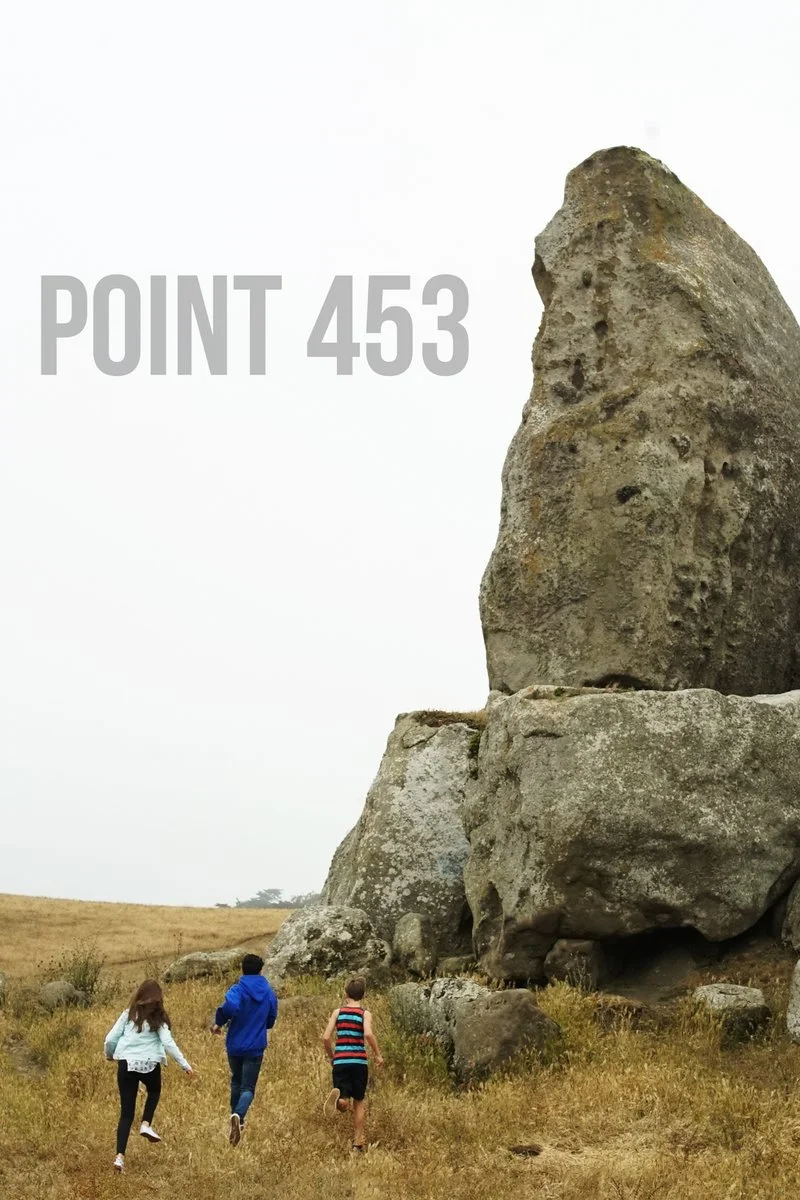 Affiche de Point 453