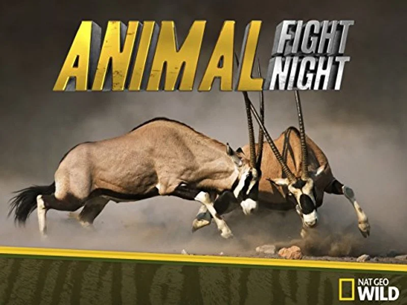 Poster van Animal Fight Night