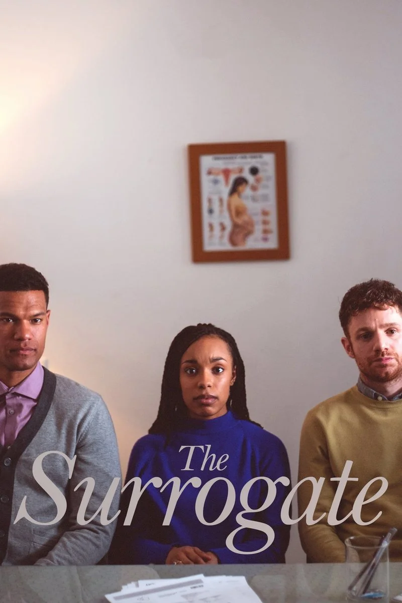 Affiche de The Surrogate