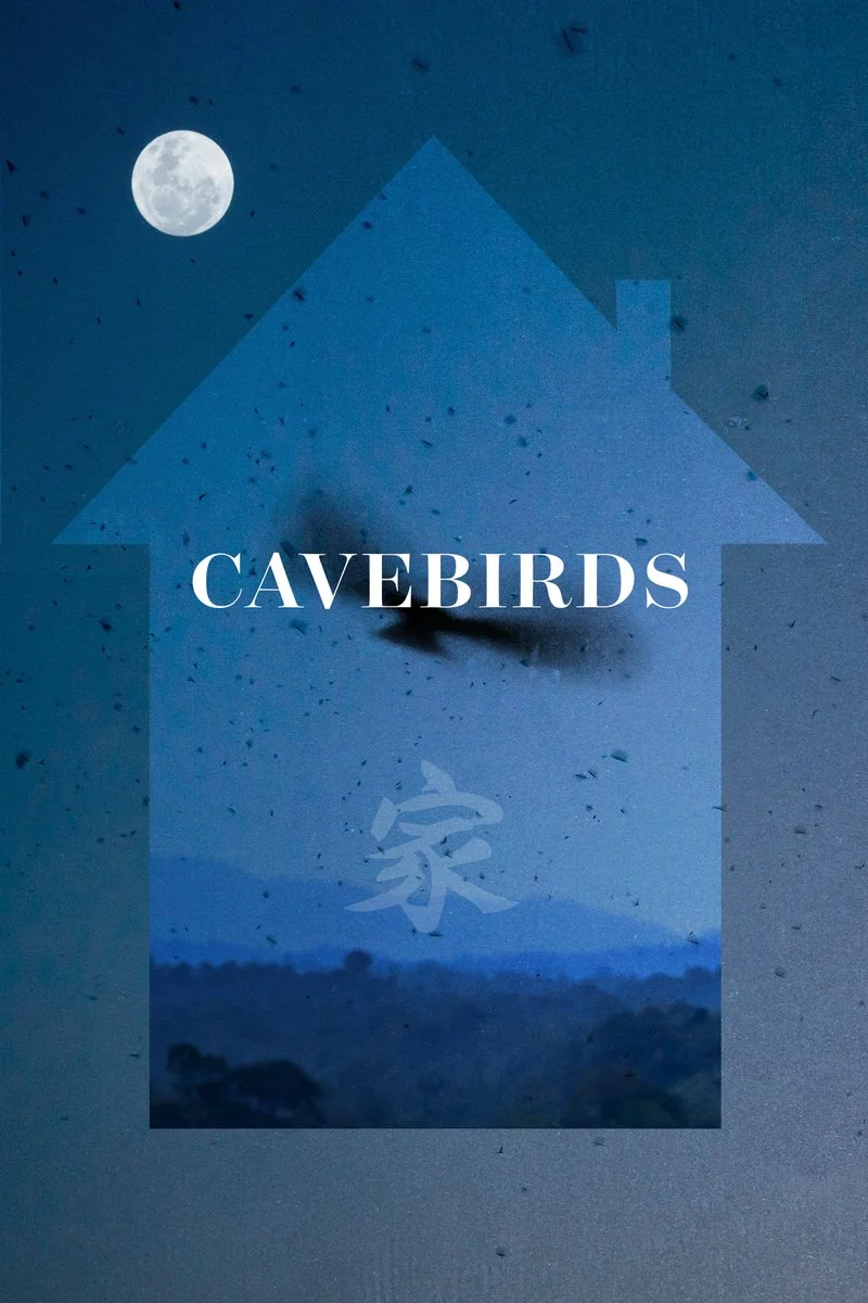 Poster van Cavebirds
