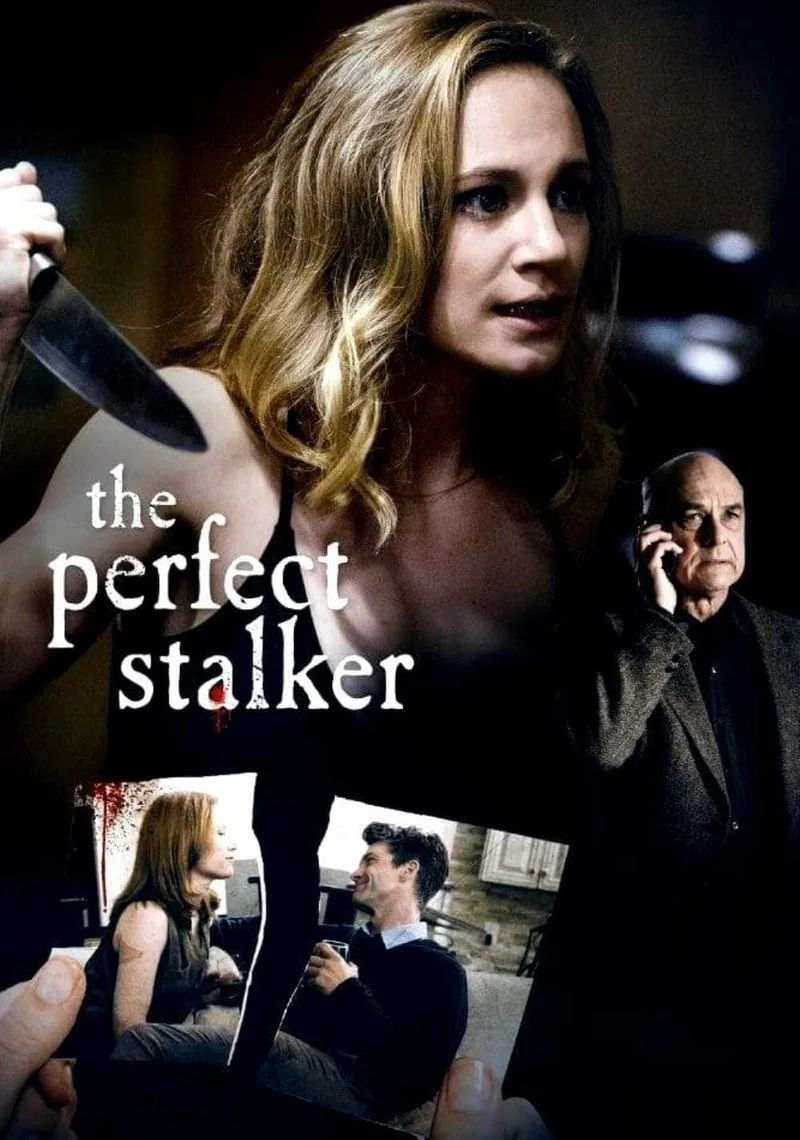 Poster van The Perfect Stalker