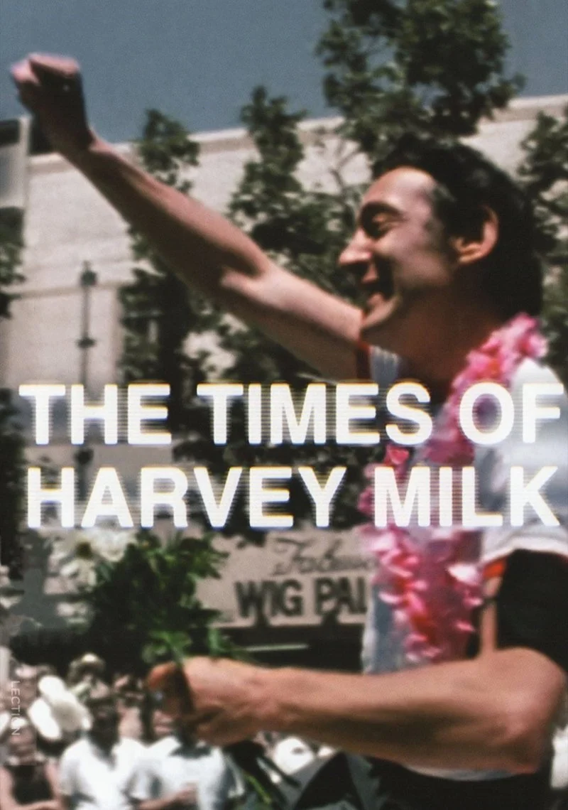 Affiche de The Times of Harvey Milk