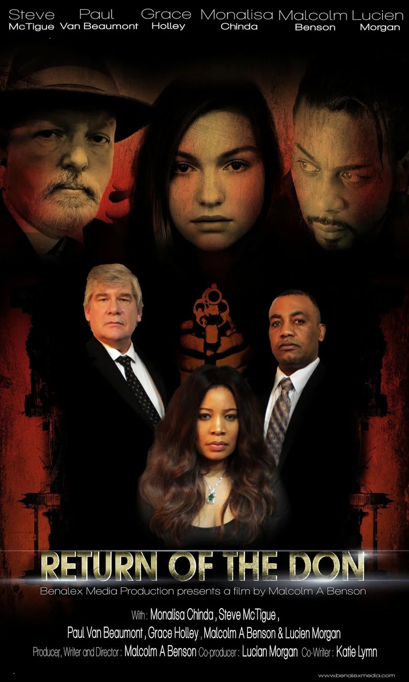 Affiche de Return of The Don